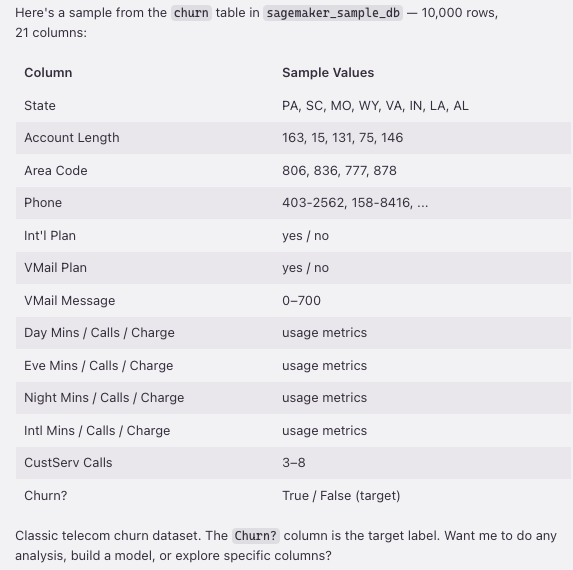 Schema view showing the 21 columns of the churn table including state, account_length, call minutes, and the churn boolean