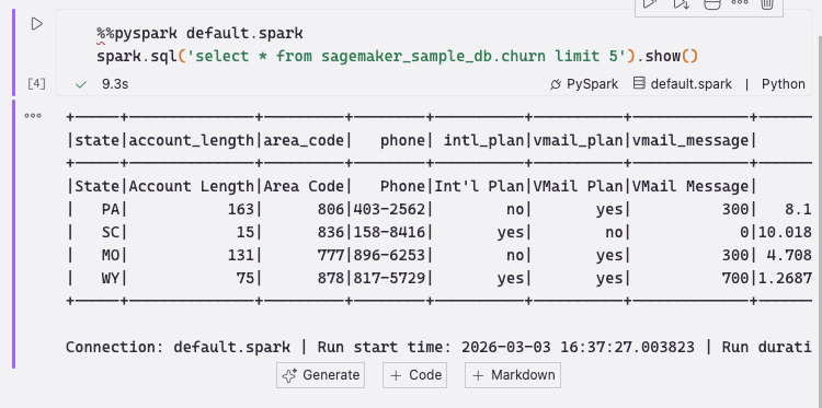 PySpark code running in a Jupyter notebook in Kiro with output cells populated