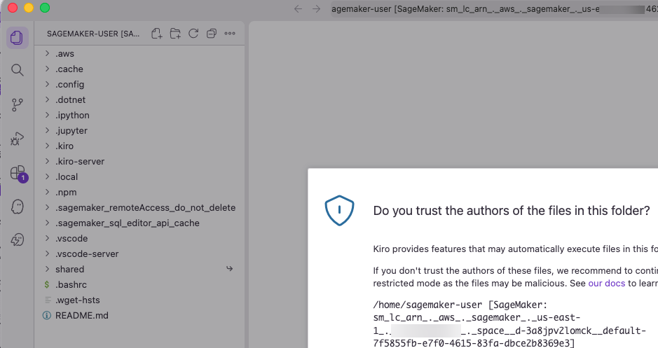 Trust authors dialog asking to confirm trust for files in the remote Space