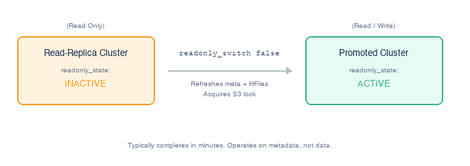 Diagram of the readonly_switch command parameters and their default values