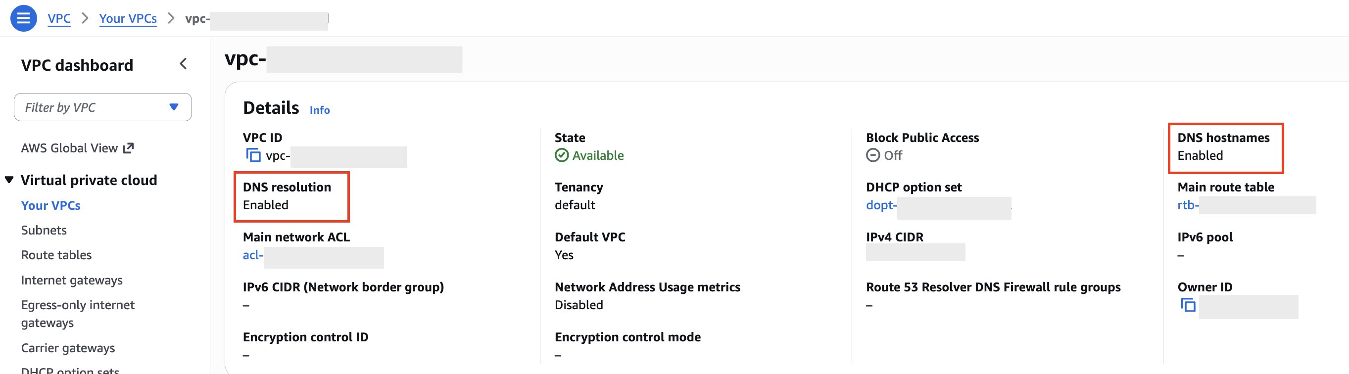 VPC Details page showing DNS hostnames and DNS resolution both set to Enabled