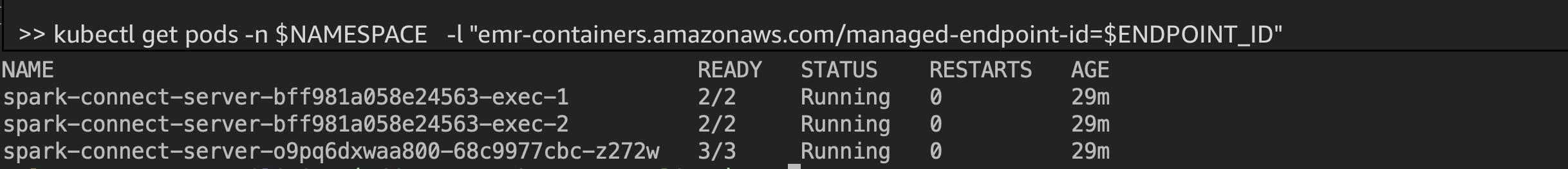 Terminal output showing endpoint status and the running driver and executor pods