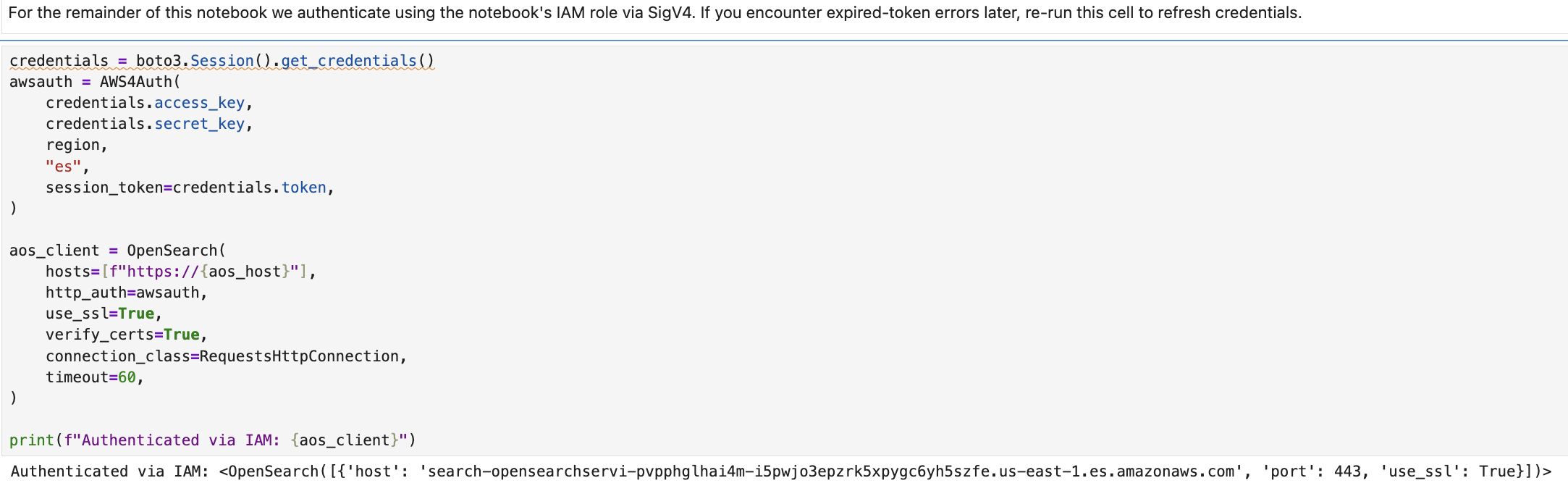 Notebook cell that switches OpenSearch to IAM-based authentication