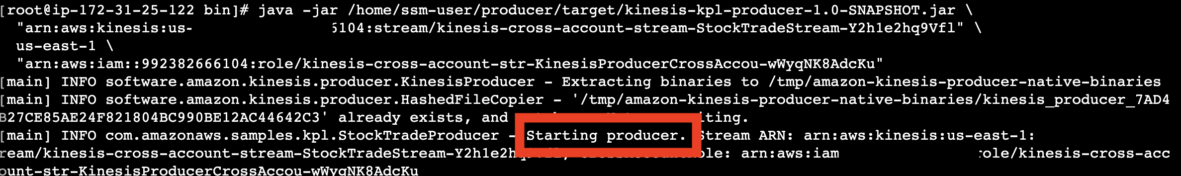 Producer application logs showing aggregated records being published to the Kinesis data stream in Account B
