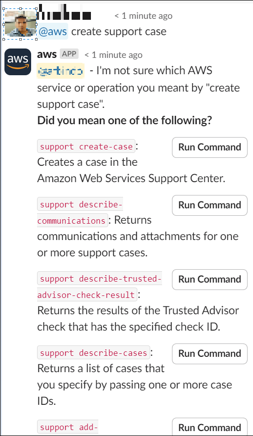 User prompting the chatbot to open a support case