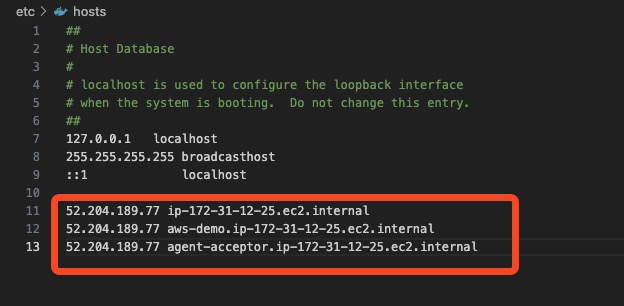 Host file configuration for Instana endpoints shown in IDE.