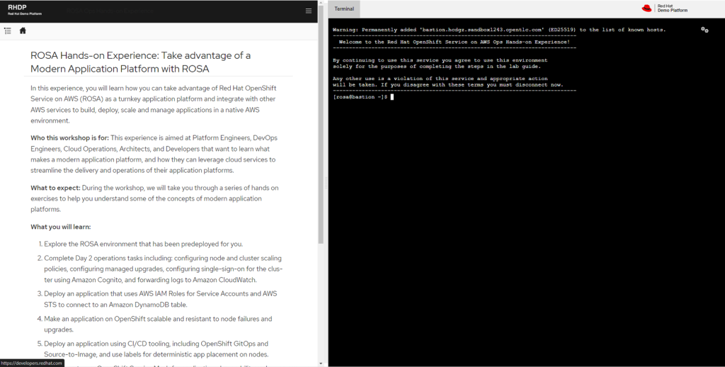 ROSA instructions on one side and the terminal window to execute these instructions in the other side.