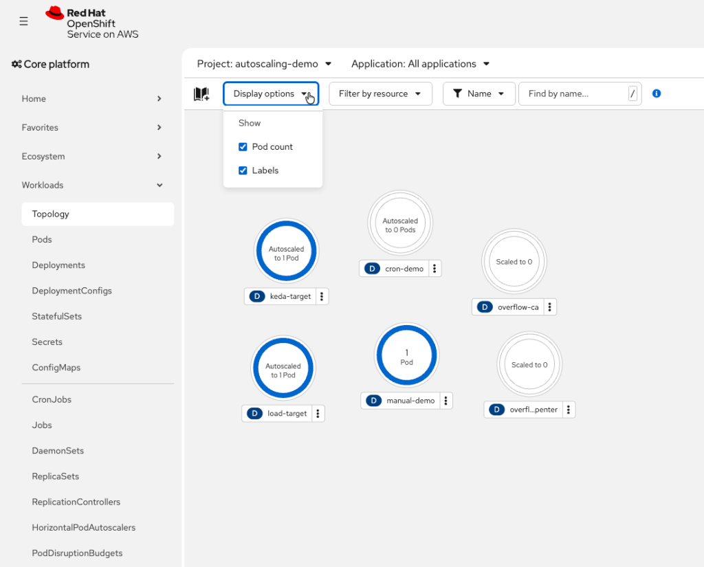 Enabling Pod Count under Display Options in the console Topology view.