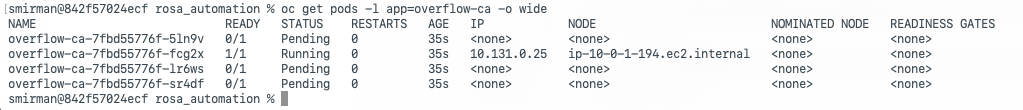 The overflow-ca pods sitting Pending before the Cluster Autoscaler adds nodes.