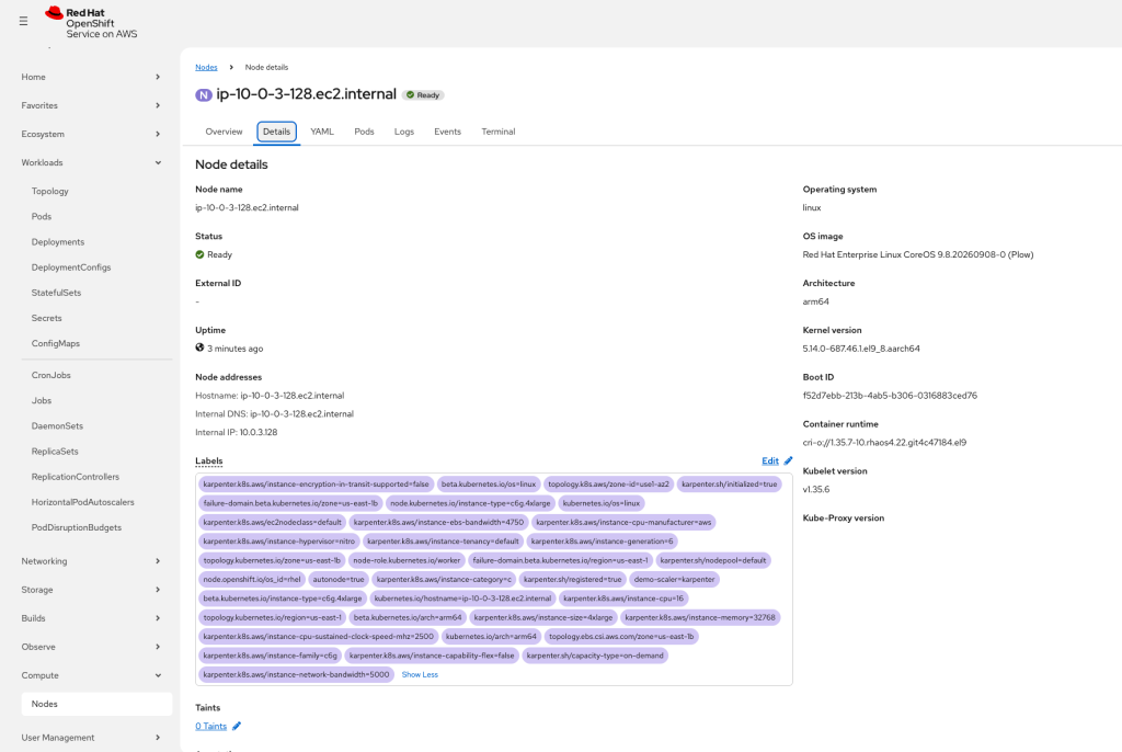 The new node's labels, including demo-scaler=karpenter, confirming Karpenter created it.
