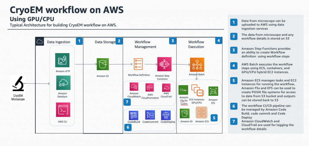 Aws gpu hot sale