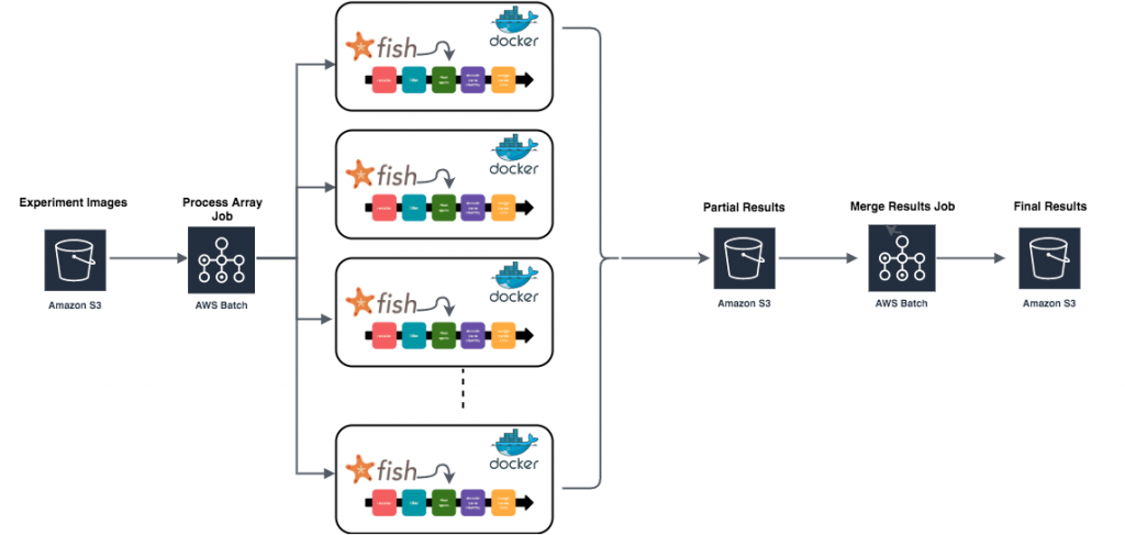 Building A Scalable Image Processing Pipeline For Image Based Transcriptomics Aws For Industries