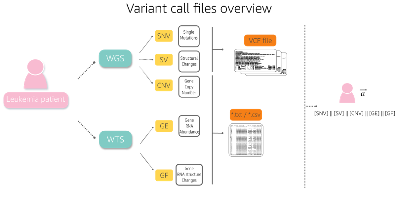 Variant call files overview