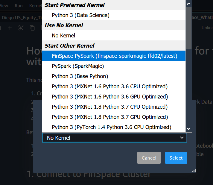 Amazon FinSpace PySpark kernel