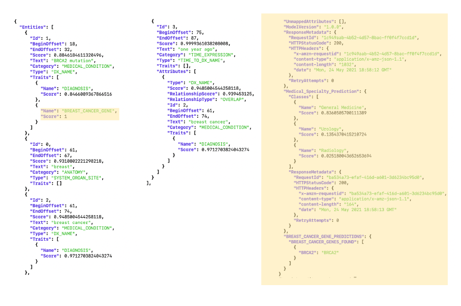 Comprehend Medical output enriched with your custom code and model