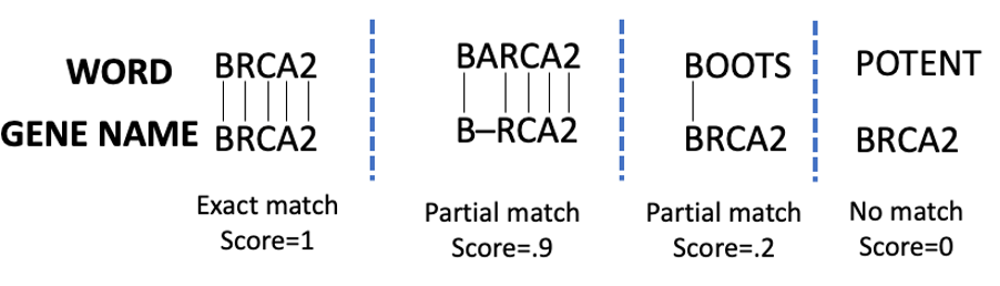 Example of matching scores using the Smith-Waterman algorithm