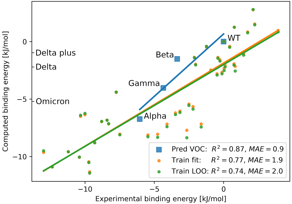 Figure 4: Scatter plot of fitted (orange) and cross-validated (LOO, green) vs. experimental spike RBD-ACE2 binding energies along with coefficients of determination and mean absolute errors. Application to VOC (blue squares).