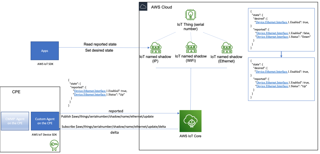 Figure 1 Custom Agent on the CPE