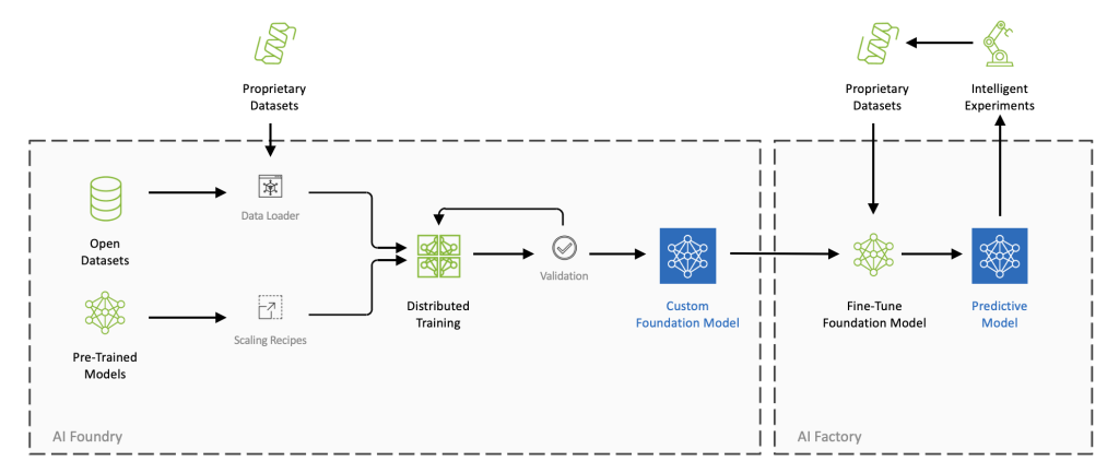 Figure 1: This image shows the workflow for developing models on NVIDIA BioNeMo. The process is divided into phases for model development and customization and then fine-tuning and deployment.