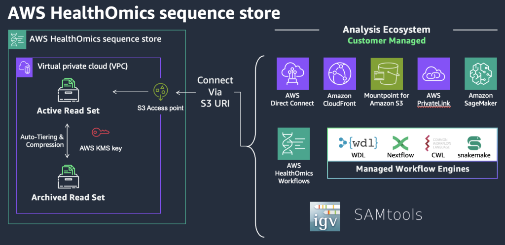 Figure 1. AWS HealthOmics leverages Amazon S3 access points to allow Amazon/AWS services and community bioinformatics tools to read the objects in an active read set directly using S3 APIs.