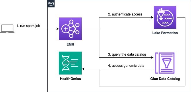 A high-level architecture diagram of showing the steps taken when a Spark job is run on EMR to query a HealthOmics Variant Store.