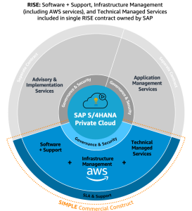 RISE: Software + Support, Infrastructure Management figure