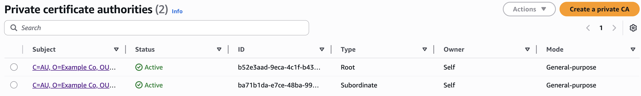 Figure 3: Active root and subordinate private certificate authorities.