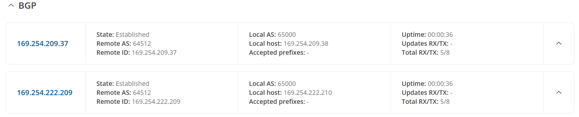 Figure 9: BGP instances established.