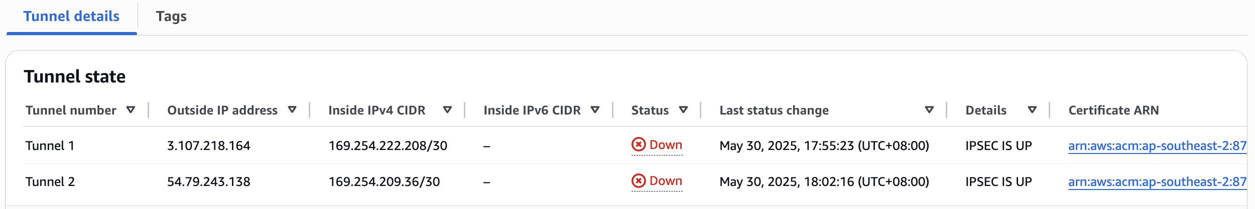 Figure 8: IPsec tunnel connections in AWS.