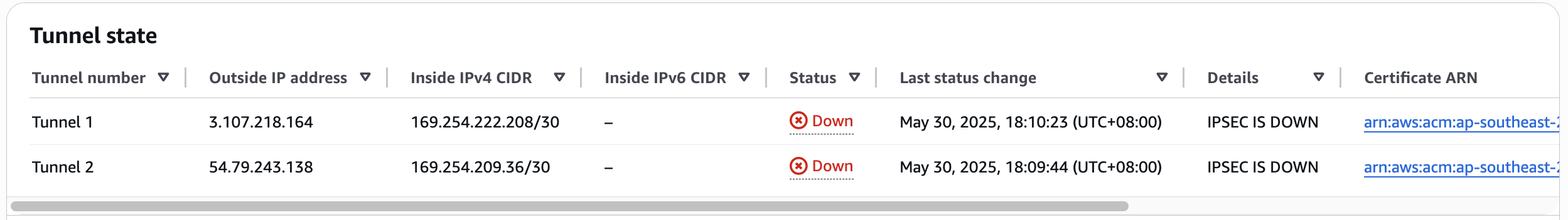 Figure 6: Tunnel states in the AWS console.