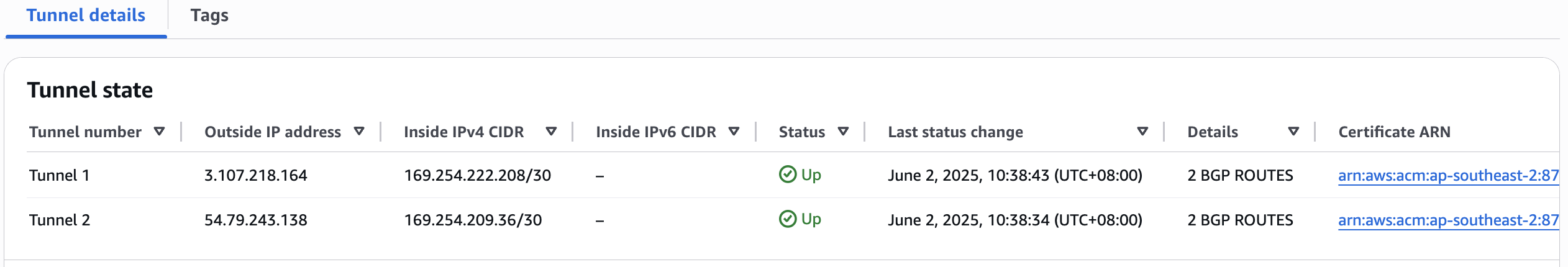 Figure 10: BGP status in AWS.