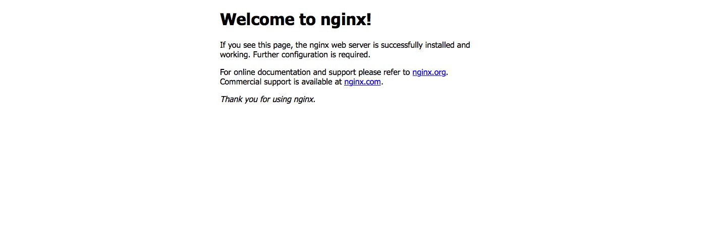 默认 nginx 页面。