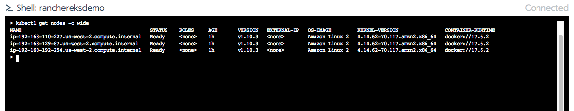 shell ‘kubectl get nodes -o wide’.