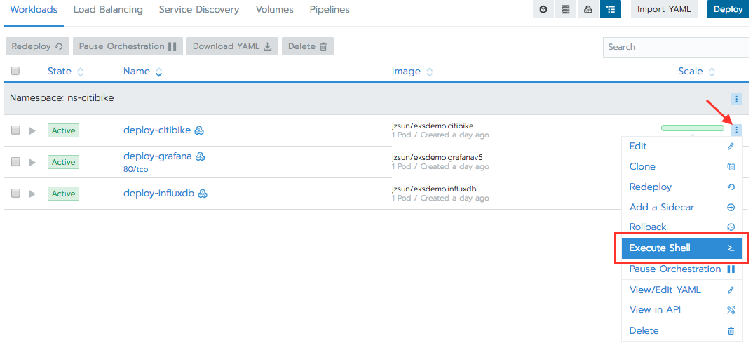 finding the private IP address in Rancher.