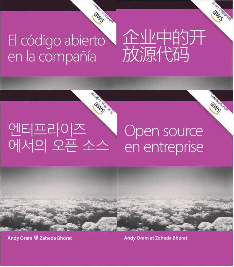 Open Source in the Enterprise book in 4 languages, cover images.