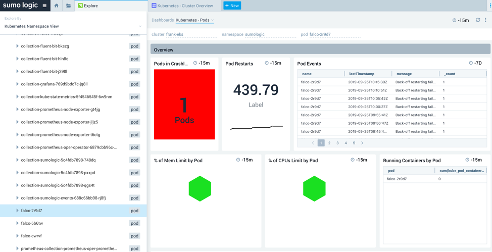 Pods running on an EKS cluster.