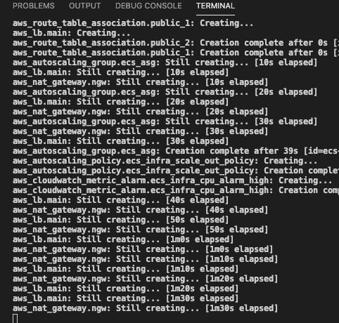 Console output showing the status of the resources as they are being provisioned during the build process.