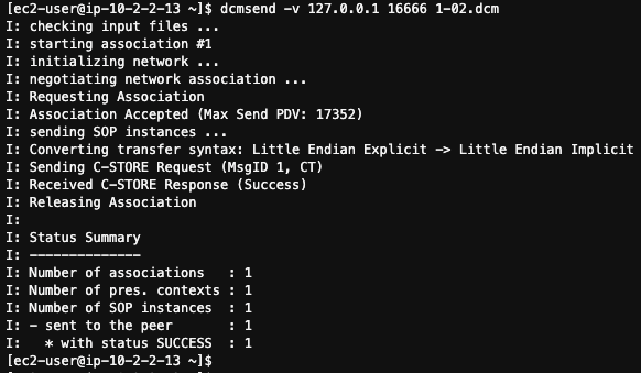 Screenshot showing the output from the dcmsend command