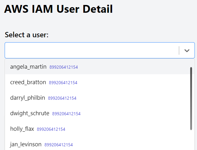 iam user detail