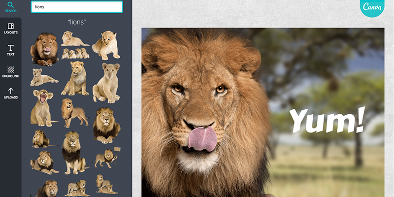 Canva Platform Lion Screenshot