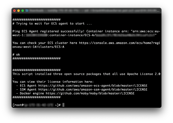 Local instance SSH session to install the required software and register the instance with the ECS Cluster.