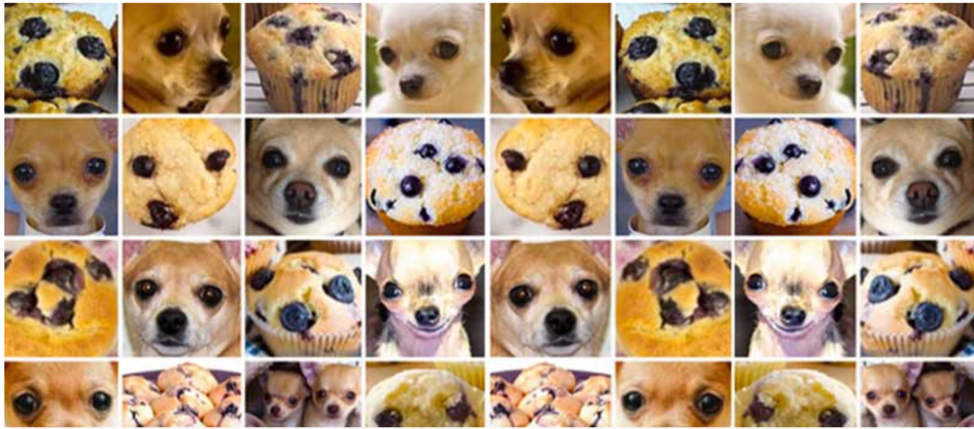 Muffins and chihuahuas