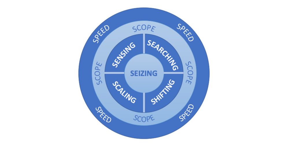 A diagram showing five capabilities and two characteristics that all agile organizations have in common