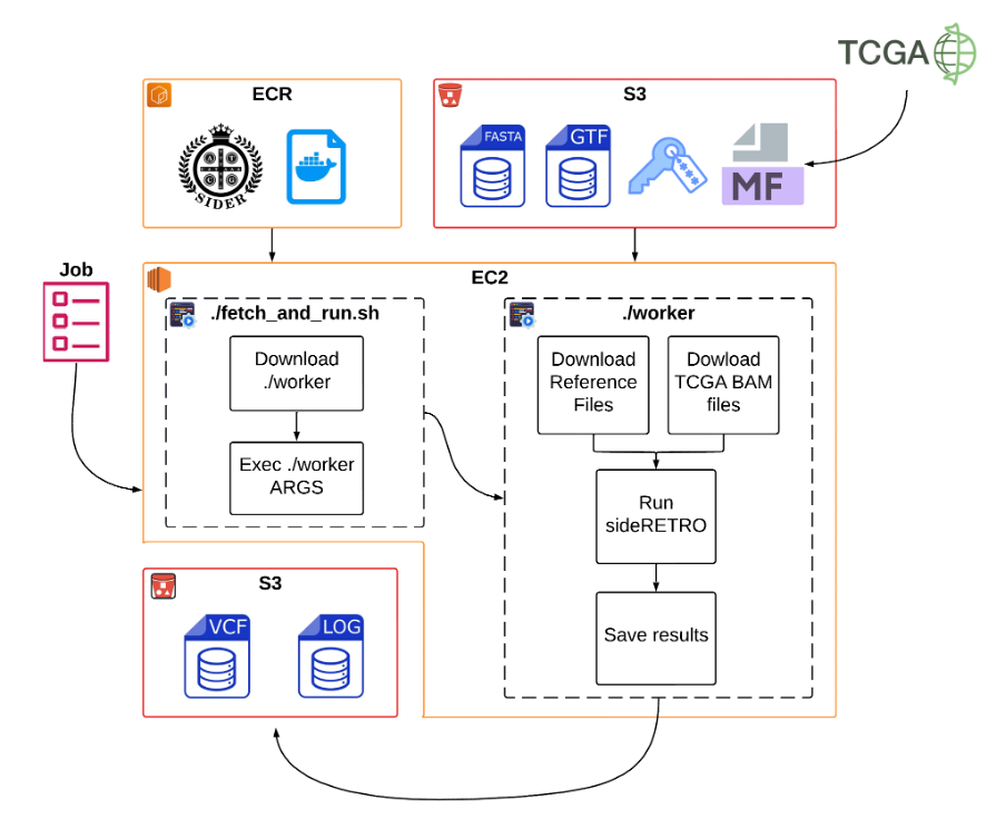 O fluxo de trabalho começa com a divisão do manifesto TCGA em lotes, que são enviados ao S3. Em seguida, o AWS Batch provisiona instâncias EC2 para executar containers Docker a partir do ECR, realizando o download dos arquivos de referência necessários e dos arquivos BAM do S3. O algoritmo sideRETRO processa 