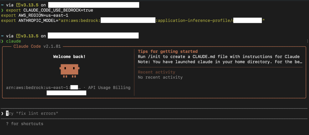 configurando o claude code