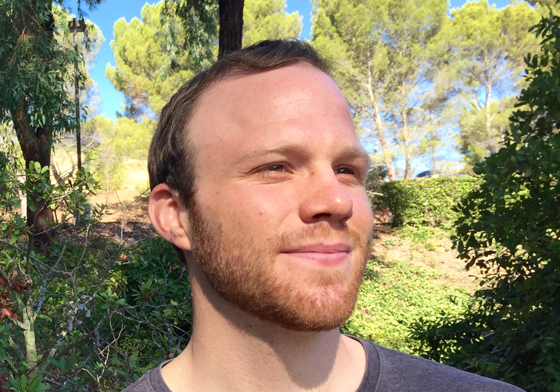 David-Paul Dornseifer
