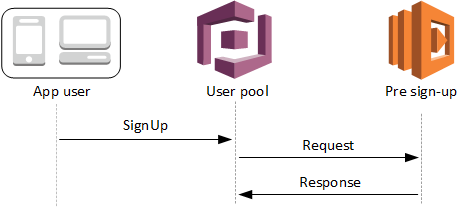 Safely Validating Usernames With Amazon Cognito Next Level Sellers