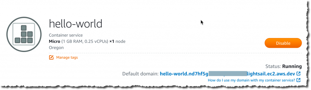 Lightsail endpoint DNS