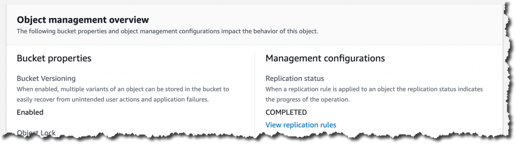 screenshot of object metadata