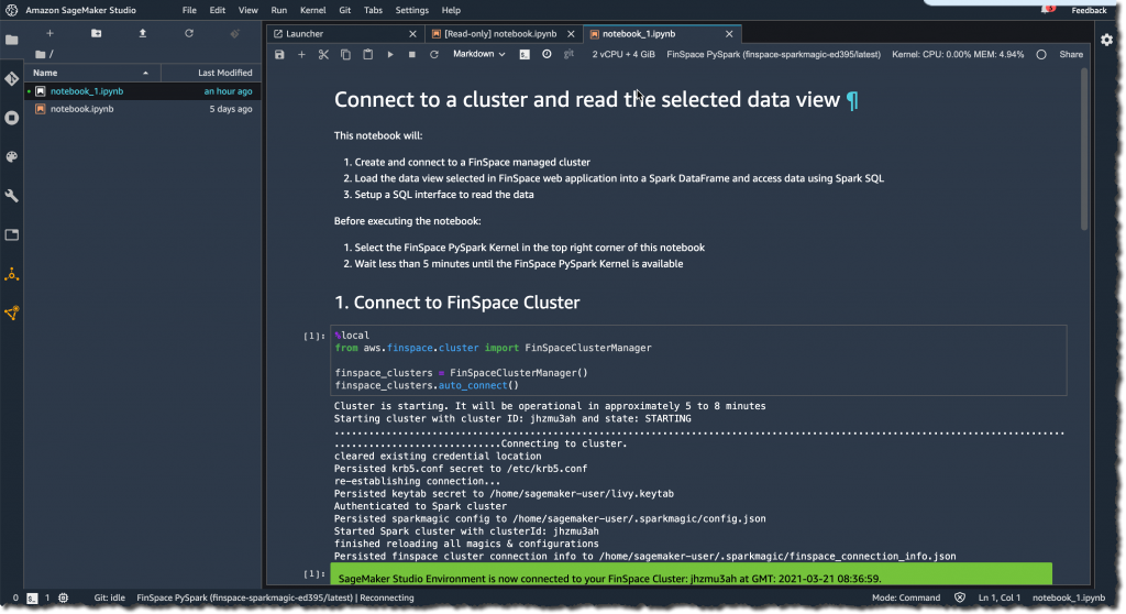 finspace 连接到集群